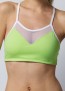 Push Up Sports Bra Lime Front View
